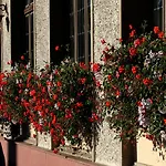 Hotel Au Nid De Cigognes 3*