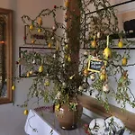 Au Nid De Cigognes Hotel Ostheim