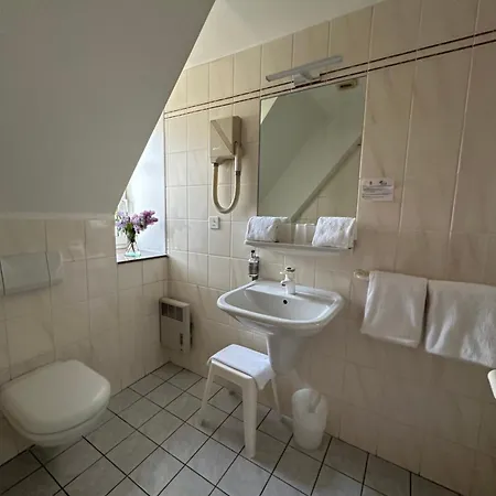 Hotel Au Nid De Cigognes Ostheim