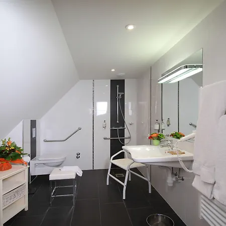 ホテル Au Nid De Cigognes オストハイム