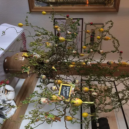 Au Nid De Cigognes Hotel Ostheim