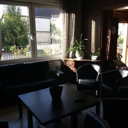 ホテル Au Nid De Cigognes オストハイム