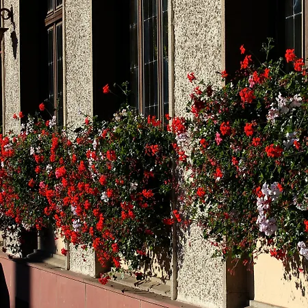 Hotel Au Nid De Cigognes 3*