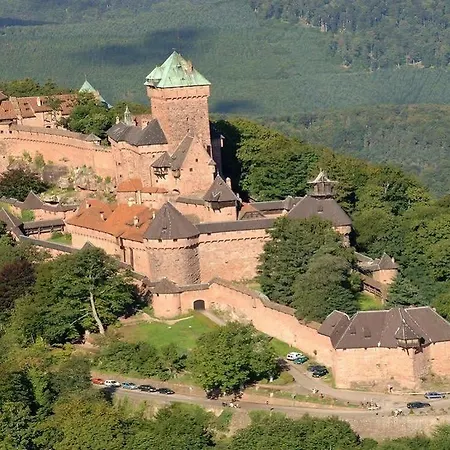 ホテル Au Nid De Cigognes 3*