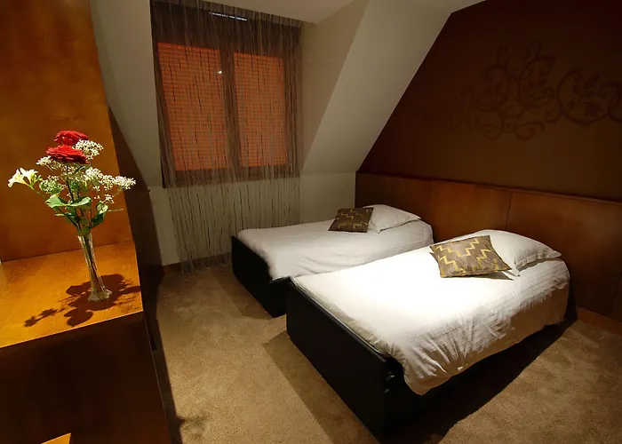 Hotel Au Nid De Cigognes