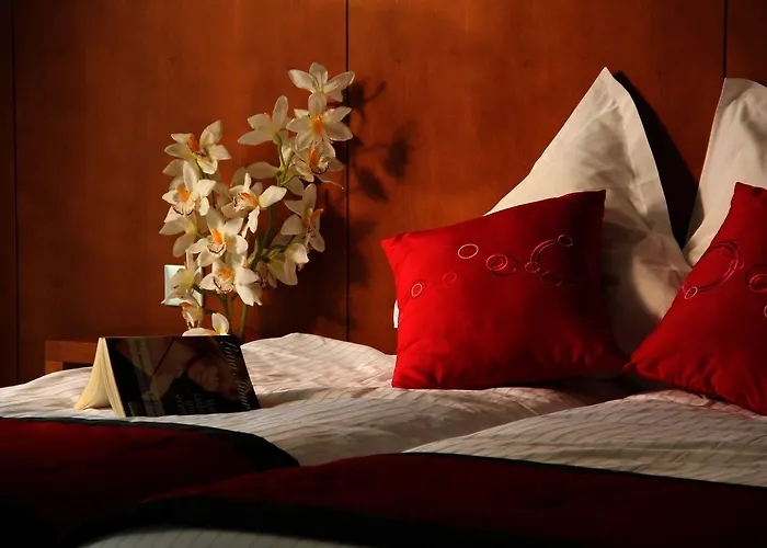 Au Nid De Cigognes 3*