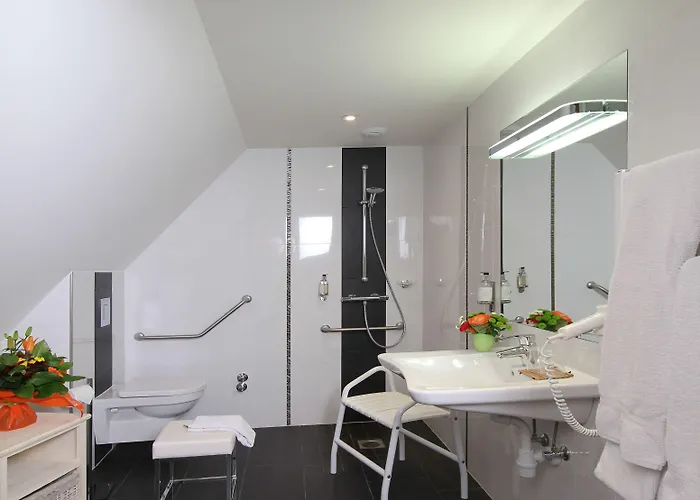 Hotel Au Nid De Cigognes Ostheim