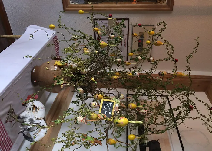 Au Nid De Cigognes Hotel Ostheim