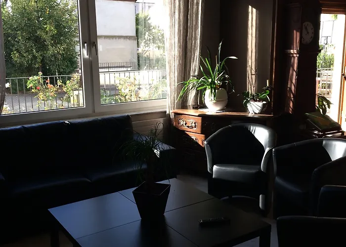 Hotell Au Nid De Cigognes Ostheim