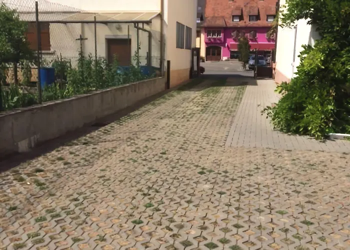 Hotel Au Nid De Cigognes 3*